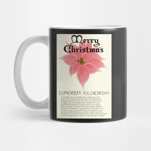 Pink Poinsetta Genus Christmas Card Mug